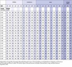 bmi calculator