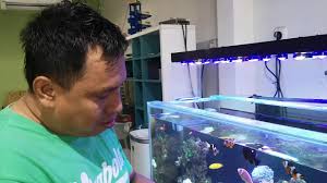 Check spelling or type a new query. Cara Memberi Makan Ikan Air Laut Hias How To Feed Sea Water Fish Youtube