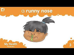 Health Vocabulary For Kids Kids Learning Videos Fun Children S Learning Youtube Kids Learning Videos Childrens Learning Kids Learning