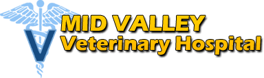 Kevin ade,dvm debra hester, dvm jana long, dvm alison gussack, dvm Mid Valley Veterinary Hospital Serving Van Nuys And Surrounding Areas