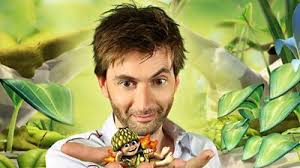 Tree Fu Tom: David Tennant
