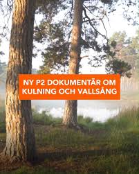 Digitalt sänder vi musikprogram dygnet runt, i fm finns även program på andra språk än svenska. Sveriges Radio P2 Startseite Facebook