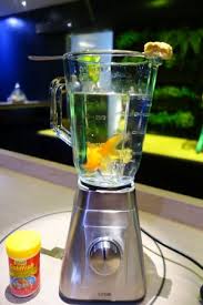 Maybe you would like to learn more about one of these? 07 05 17 Endoedibles On Instagram For More Picture Of Alchemist Copenhagen Tripadvisor