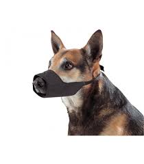 Meilleur prix du web sur maison ce jeudi 22 avril. Museliere Nylon T 5 Chien Buster