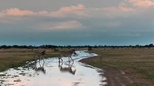 Kwando Nxai Pan Game Drive Picture Of Nxai Pan Nxai Pan National Park Tripadvisor