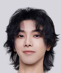 Hua Chen Yu (华晨宇)