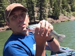 Fundraiser for Phyllis Bairrington by Donna Barlow : Supporting Phyllis