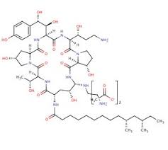 Image result for Caspofungin