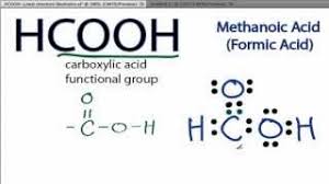 We did not find results for: Hcooh Lewis Structure How To Draw The Lewis Structure For Hcooh Youtube