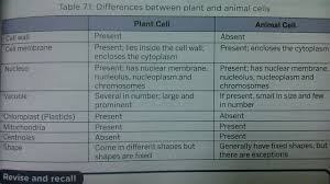 √ thefamily must show empathy and provide guidance. What Are The Difference Between Plant Cell And Animal Cell Brainly In