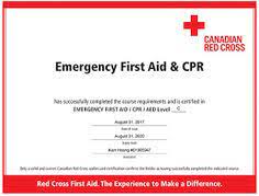 Taken entirely online, these courses do not include the opportunity for you to demonstrate skill proficiency to a certified instructor, and therefore may not meet. 25 Red Cross First Aid Ideas Red Cross First Aid Red Cross First Aid