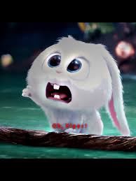 The Bunny Max The Dog