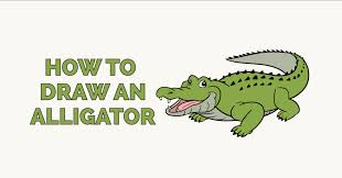 2088 alligator head 3d models. How To Draw An Alligator Really Easy Drawing Tutorial