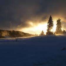 Weisse Pracht Und Magische Lichtspiele Auf Dem Feldberg Der Winter Kann Kommen Schwarzwald Outdoor Winter Winterurlaub Ausfl Pictures Photo Black Forest