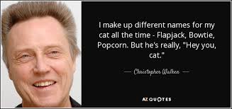 Flapjack learns from captain k'nuckles about of a strange man that. Christopher Walken Quote I Make Up Different Names For My Cat All The