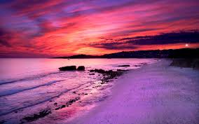 Palm trees on beach sand and landscape view trees covered mountains in the middle of sea with sunbeam 4k hd beach. Purple Sunset Wallpapers Group 75
