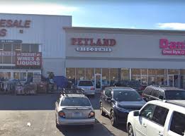 What time is the excursion? Petland Discounts Closing New York Stores Including Several Queens Locations Sunnyside Post