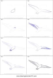 How To Draw A Flying Bird Printable Drawing Sheet By Drawingtutorials1 2019 Ucan Kus Ve Kus Cizimleri
