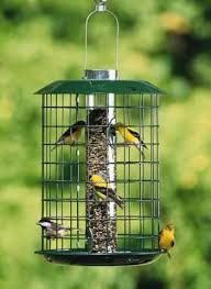 Caged Bird Feeders For Small Birds Uk Duncraft Metal Selective Feeder For Small Birds Squirrel Proof Bird Feeders Bird Feeders Backyard Birds Feeders