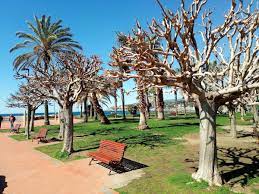 931 stations listed ordered by code ; Papeete Beach Imperia Imperia Restaurantbewertungen
