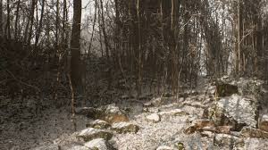 Abandoned is an cinematic horror survival shooter that emulates realistic survival in first person perspective set in an massive detailed open world environm. Abandoned Hideo Kojima S Hidden Game In The Footsteps Of The Strange Rumor