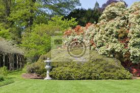 Rote Und Weisse Bluhende Baume Und Straucher In Einem Bunten Englischen Fototapete Fototapeten Englisch Garten Azalee Parklandschaft Myloview De