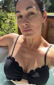 Brie Bella Big Tits Bikini - Fappenist