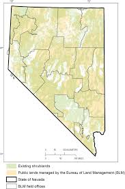 Blm regularly holds protests speaking out against police. Quantifying Ecological Integrity Of Terrestrial Systems To Inform Management Of Multiple Use Public Lands In The United States Springerlink