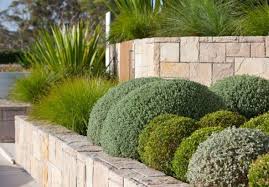 50 Modern Front Yard Designs And Ideas Renoguide Australian Renovation Ideas And Inspiration Front Yard Landscaping Modern Landscaping Modern Garden