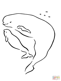 Plus, it's an easy way to celebrate each season or special holidays. 26 Best Ideas For Coloring Beluga Whale Coloring Page