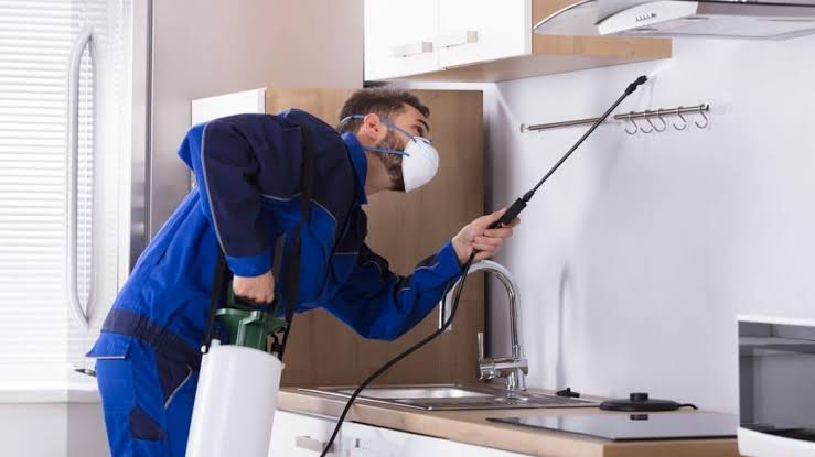 Termite Protection Treatment