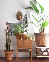 Just one large statement plant can truly pull a room together, and also give off the illusion the space is bigger, too. Pilea Peperomioides Houseplants Indoor Plants Plants Decor Home Decor Interior Style Plant Corner Nordic Style Scandinavian Living Vint In 2020 Plant Decor Plants Boho Decor