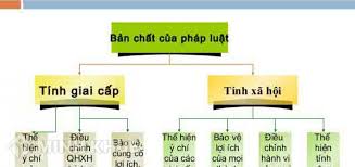Check spelling or type a new query. Phan Tich Tinh Giai Cáº¥p Va Tinh Xa Há»™i Cá»§a Phap Luáº­t