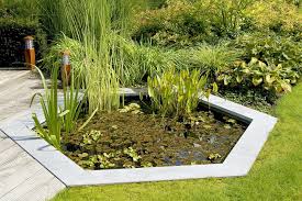 Get ideas for your florida landscaping project. 8 Incredible Landscaping Ideas For Small Front Yards On A Budget