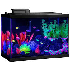 Fish Tank Ideas Fish Tank For Sales Fishtank Fishtanks Cool Fish Tanks Glass Fish Tanks Glofish Aquarium