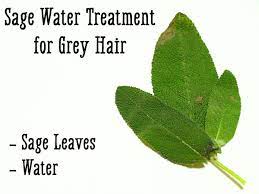 If your hair is naturally black, expect multiple bleachings and weeks of waiting before you can get the color you want. How To Turn Grey Or White Hair Black Naturally 16 Remedies Bellatory