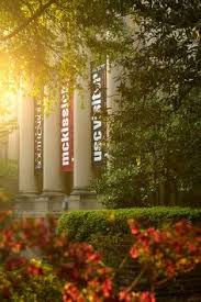 Pin By Thee Matriarch Bed Breakfast On University Of University Of South Carolina South Carolina U Of South Carolina