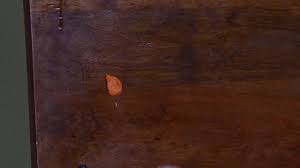 Goo Gone Remove Gum From Furniture With Goo Gone Original Ad Commercial On Tv 2018 Gum The Originals How To Remove