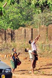 Happy Childhood Only In Villages Childhood Memories Photography Childhood Photography Village Photography