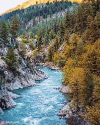 Zobrazte recenze, články a fotografi z main payette river na webu tripadvisor. Payette River Idaho Gooutlocal Onlyinidaho Idaho Idaholandscapes Idahophotography River Lake Trees Mountain S Trip Camping Experience Camping Advice