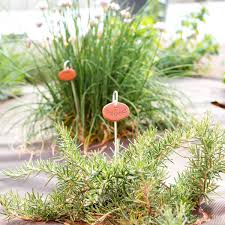 Vegetable marker stakes in ceramic stoneware. Easy Diy Garden Markers Oh The Things We Ll Make