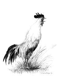 Pin On Dieren