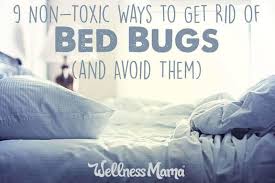 How To Get Rid Of Bed Bugs 9 Non Toxic Options Wellness Mama