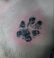 Small Mens Realistic Dog Paw Print Tattoo On Upper Chest Dog Paw Tattoo Paw Tattoo Dog Print Tattoo