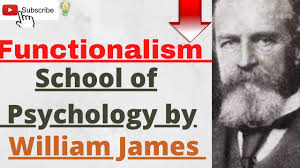 William James: Interesting Facts for kids ***  Williams james, Fun facts  for kids, William james sidis