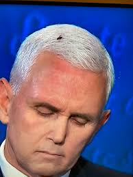 Dave Paulson (@djpaulson1)