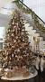 Beautiful White Christmas Trees