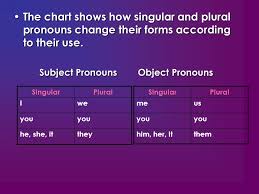 Unit 8 Pronouns Ppt Download