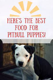 Best Dog Food For Pitbull Puppies Pitbull Puppies Best Dog Food Pitbull Food