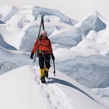 Image result for Bright White 1992 Summit